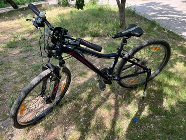 Горные велосипеды: 1) Велосипед детский giant Liv Adore размер колес 16 корзина в — 5