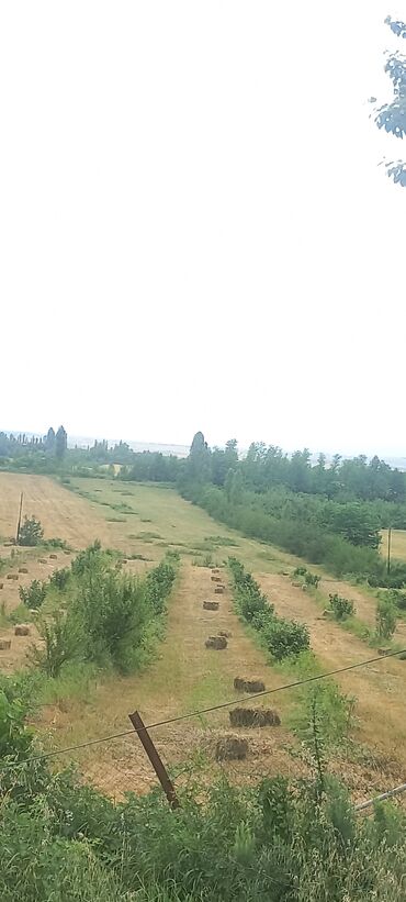 Torpaq sahələrinin satışı: Kənd təsərrüfatı, Mülkiyyətçi — 19