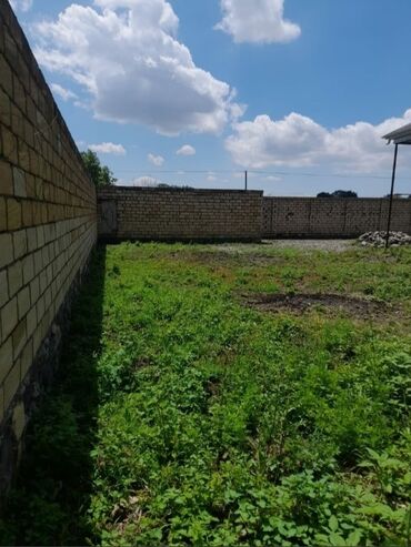 ru bina az: 3 sot, Tikinti, Mülkiyyətçi, Kupça (Çıxarış)