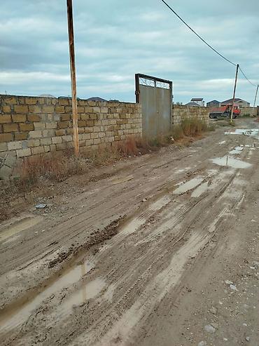 1 ha necə sotdur: 6 sot, Tikinti, Mülkiyyətçi, Kupça (Çıxarış) — 1