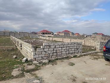 бина пз: 4 соток, Для сельского хозяйства, Купчая — 4