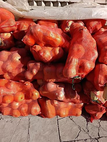 мешками: Тыква в сетках (оптом) на корм - Сорт: столовая тыква крупноплодная — 2