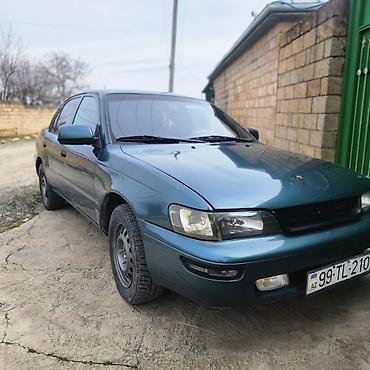 Toyota: Toyota Corolla sedan - Kuzov: 4 qapılı sedan, mavi rəng - Mühərrik — 2