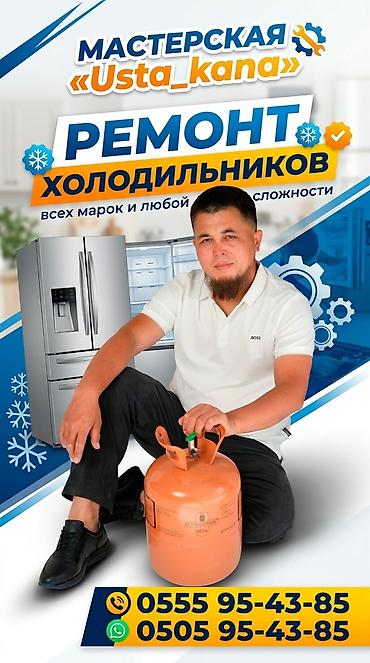 термореле: Ремонт холодильников «Мастерская Usta_kana» - Профессиональная — 1