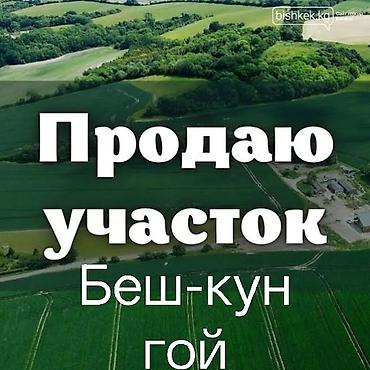 робочый городок: 60 соток, Для сельского хозяйства, Договор долевого участия — 1