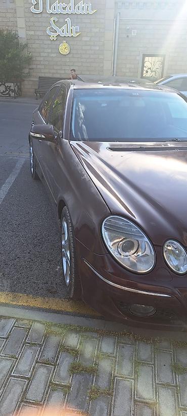 mercedes benz e250: Mercedes-Benz E 230: 2.5 l | 2008 il Sedan — 3