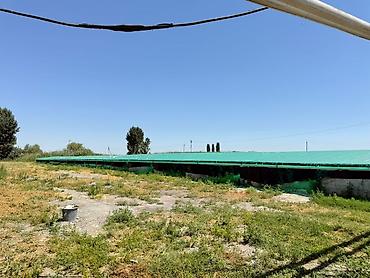 Продажа другой коммерческой недвижимости: 🐟 Продаётся действующее рыбное хозяйство с развитой инфраструктурой 📍 — 6