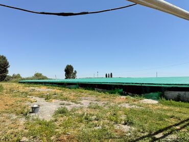 Сельхоз предприятия: 🔷 продаётся действующее рыбное хозяйство • 10,8 га 📍 сокулукский — 3