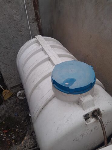 Çöl bitkiləri: Zabrat 2 stansiyasına yaxındir. sənəd kupça avtobus dayanacağına — 9