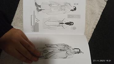 Другие книги и журналы: Все 4 тома системы спаси себя сам, новелла без цензуры, есть — 16