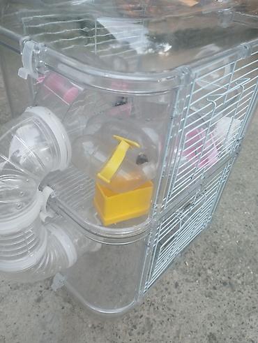 большая клетка для кролика: Balaca gəmiricilər üçün şüşəli/plastik vitrinli qəfəs-komplekt - — 2