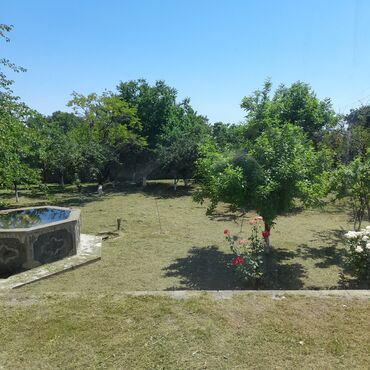 Günlük kirayə evlər: 250 kv. m, 5 otaqlı, Artezian quyusu, Telefon, İnternet -da lalafo.az — 14 Günlük kirayə evlər: 250 kv. m, 5 otaqlı, Artezian quyusu, Telefon, İnternet — 14