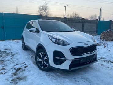 Kia: Kia Sportage: 2018 г., 1.6 л, Автомат, Дизель, Кроссовер