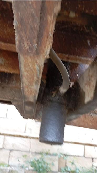 Lapetlər: SƏNƏDİ YOXDU — 8