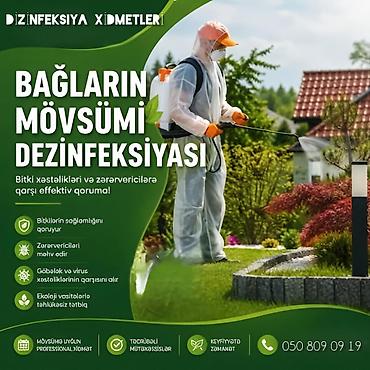 Dezinfeksiya, dezinseksiya: Dezinfeksiya, dezinseksiya | Tarakanlar, Taxtabiti, Viruslar, mikroblar | Evlər, Girişlər, Həyətlər — 1