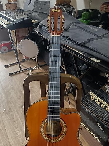elekt: Washburn elektro-klasik gitara - Brend/model: Washburn klassik gövdə — 4