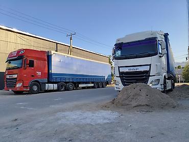 Тягачи: Тягач, DAF, 2014 г., Тентованный at lalafo.kg — 31 Тягачи: Тягач, DAF, 2014 г., Тентованный — 31