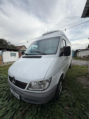 спиринтер мос: Грузовик, Mercedes-Benz, Стандарт, 3 т, Новый — 1