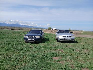 Audi: Audi A6: 2000 г., Бензин, Седан — 6