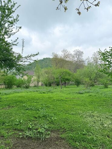 Torpaq sahələrinin satışı: 15 sot, Tikinti, Mülkiyyətçi, Kupça (Çıxarış) — 21