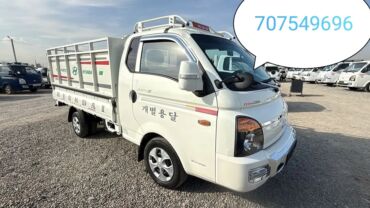 мясо конина цена бишкек: Грузовые перевозки по городу Каракол и по регионам надёжно быстро