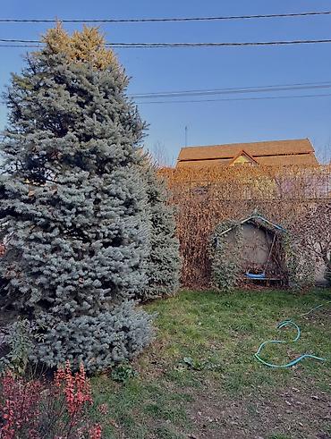 Продажа домов: Дом, 110 м², 4 комнаты, Собственник, Косметический ремонт — 21