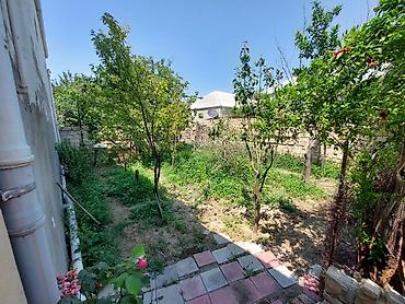 tap az ağstafa: 3 otaqlı, 100 kv. m, Kredit yoxdur, Orta təmir — 6
