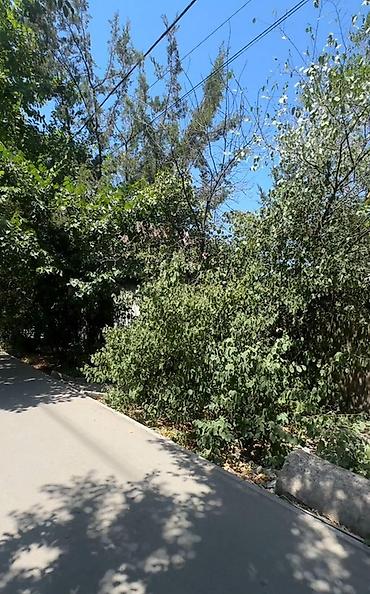 Продажа участков: 5 соток, Для бизнеса, Красная книга, Тех паспорт — 8