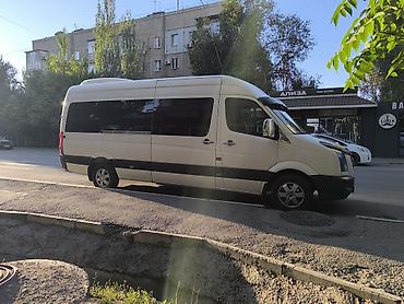 карышкыр фото: Баруучу жер: Ак-Суу, Орундардын саны: 19, Лицензия №: 01 — 1