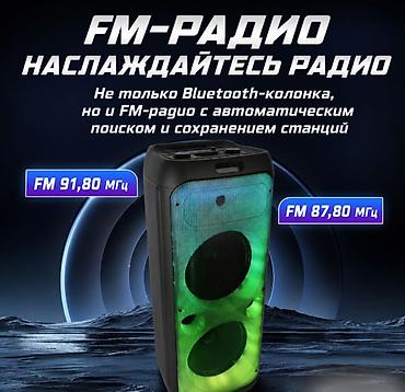 колонка для караоке: Портативная Bluetooth Караоке колонка Acike AK-101 с микрофоном — 9