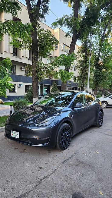 эстима левый: Tesla Model Y: 2024 г., Автомат, Электромобиль, Кроссовер — 3