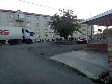 bine qəsəbəsi: 4 otaqlı, 8 kv. m, Kredit yoxdur, Yeni təmirli — 7