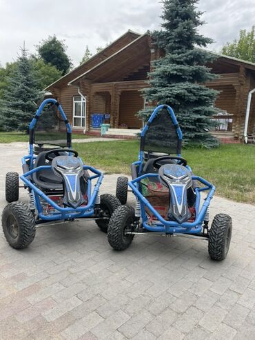 электро муравей с кабиной: Квадроцикл Бензин, 110 куб. см, Детский