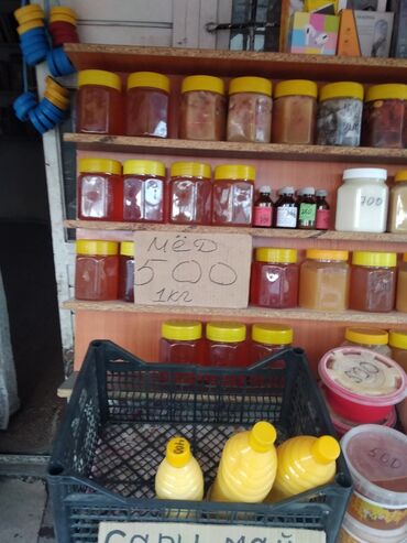продажа мёда: Мёд 🍯 горный токтогулский в Кара Балта цэна за мед 500 кг сом.и Сары