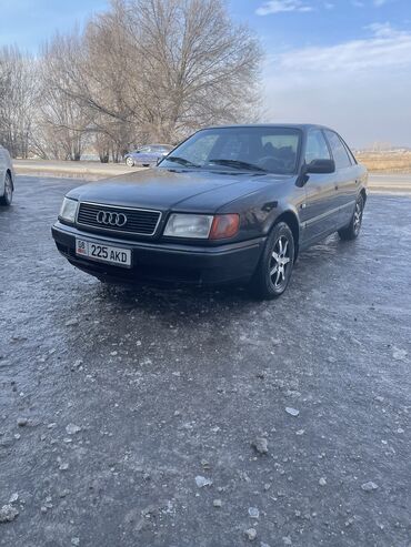 салонный плафон: Audi 100: 1992 г., 2.5 л, Механика, Дизель, Седан