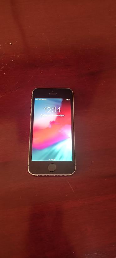 цена iphone 5s: IPhone 5s, модель ME432DN/A. На экране видно: iOS 12.5.8, серийный — 1