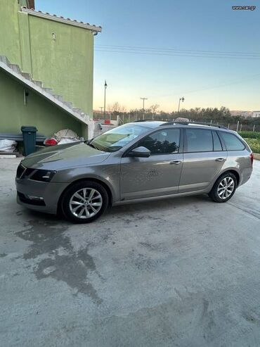 Skoda: Skoda Octavia: 1.6 l. | 2018 έ. 312200 km. Πολυμορφικό — 8