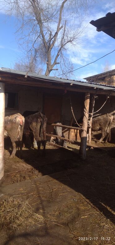 Продажа домов: Дом, 75 м², 4 комнаты, Собственник, Косметический ремонт — 12