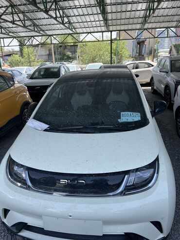 авто в рассрочку электромобиль: BYD delfin Год:2025.05.26 Полная комплектация :360 камераподогрев
