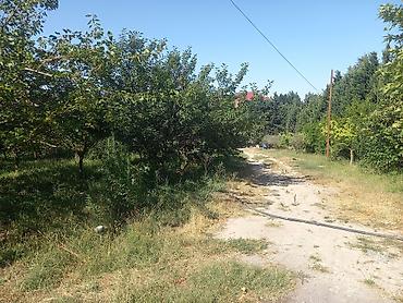şamaxı ev satışı: Novxanı, 440 kv. m, 6 otaqlı, Hovuzsuz, İnternet, Telefon, Qaz — 3