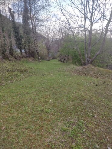 Torpaq sahələrinin satışı: Satılır: təbiət qoynunda yaşıllıqla əhatələnmiş torpaq sahəsi — 5