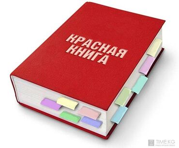 участки в сокулуке: 5 соток, Для строительства, Красная книга, Договор купли-продажи