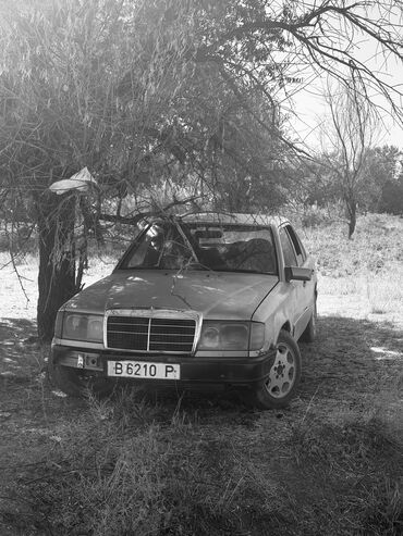 домкраты на авто: Mercedes-Benz W124: 1991 г., 2.3 л, Механика, Бензин, Седан
