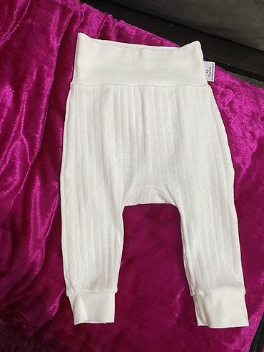 Боди: Боди — 25