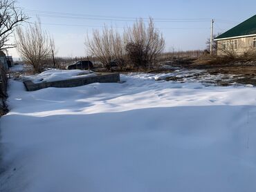 Продажа участков: 5 соток, Красная книга — 4