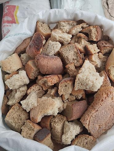 рыба корм: Корм для животных: хлебные сухари и тыква - Хлебные сухари крупной — 1