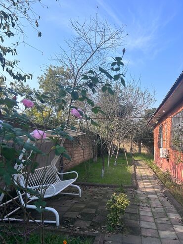 Günlük kirayə evlər: Lənkəranda Xanbulana yaxın, 3 otaqlı şəxsi evimi günlük kirayə -da lalafo.az — 11 Günlük kirayə evlər: Lənkəranda Xanbulana yaxın, 3 otaqlı şəxsi evimi günlük kirayə — 11