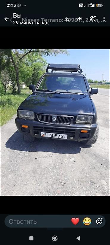 боковая: Nissan Terrano: 1996 г., 2.4 л, Механика, Бензин, Внедорожник — 2