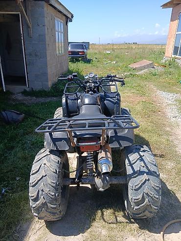 Квадроциклы: Квадроцикл Бензин, 250 куб. см, Взрослый — 3
