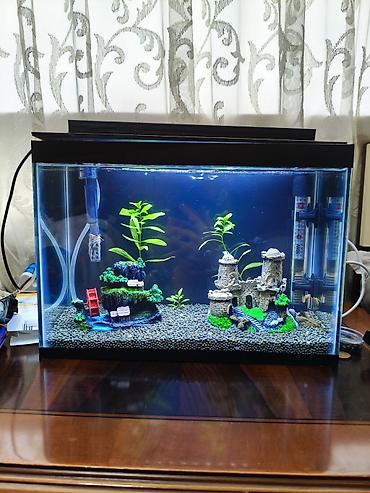 akvarium satisi: Dördbucaq akvarium, Boş, 14 l, Ödənişli çatdırılma — 3